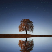 dagboekvragen-voor-zelfreflectie Dagboekvragen voor zelfreflectie