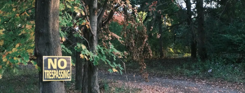 Grenzen journal prompts