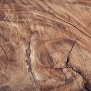 hout-element-journal-prompts Hout element journal prompts