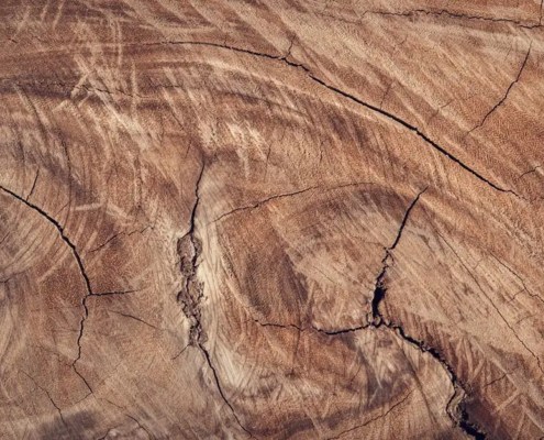 Hout element journal prompts 1 Hout element journal prompts