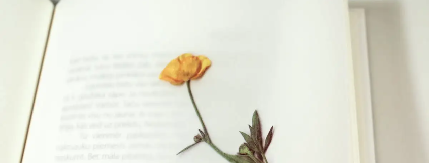 Mini-herbarium in je dagboek