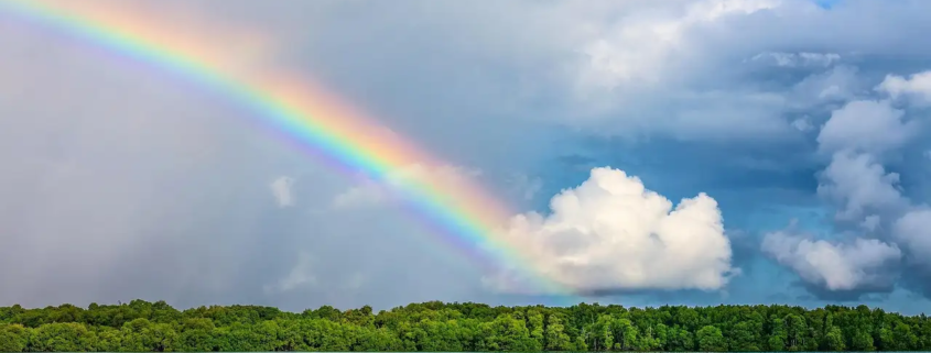 Natuurdagboek voor kinderen