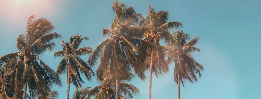 Wat is de betekenis van de zomer?