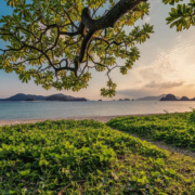 natuur-en-nervus-vagus Natuur en nervus vagus