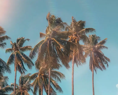 Wat doet de zomer met je?