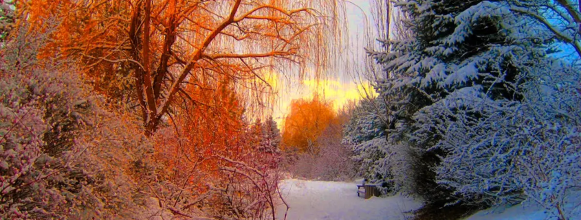 Wat is de betekenis van de energetische winter?