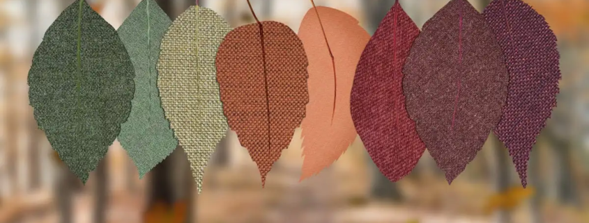 Hoe komt het dat er vier seizoenen zijn?