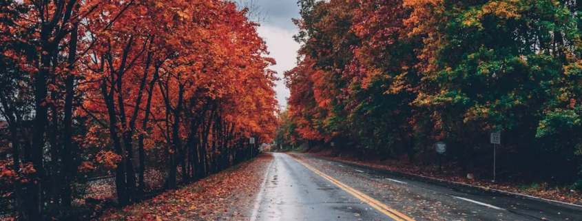 Welke volgorde seizoenen?