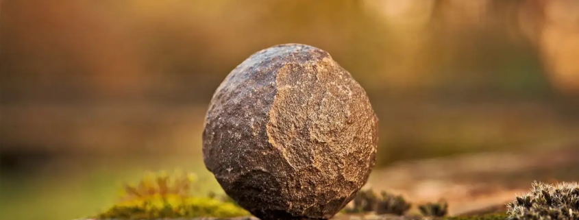 Aarde element (gronding/ritme) dagboek