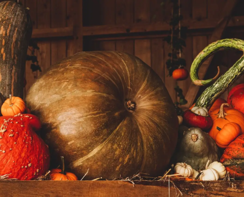 Wat is de betekenis van jaargetijden?