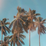 Wat kan de zomer symboliseren?